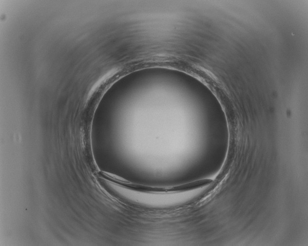 X0000072531402200608041545