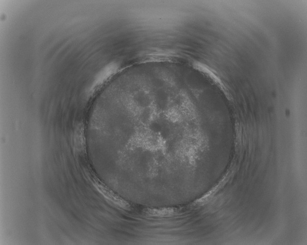 X0000072531403200608041545