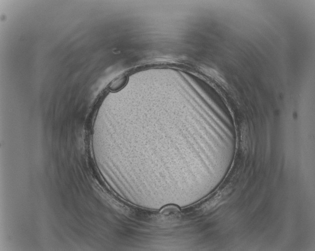 X0000072531404200608041545