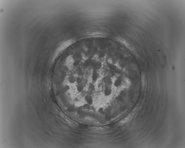 X0000072531405200608041545