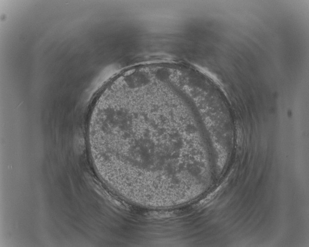 X0000072531407200608041545