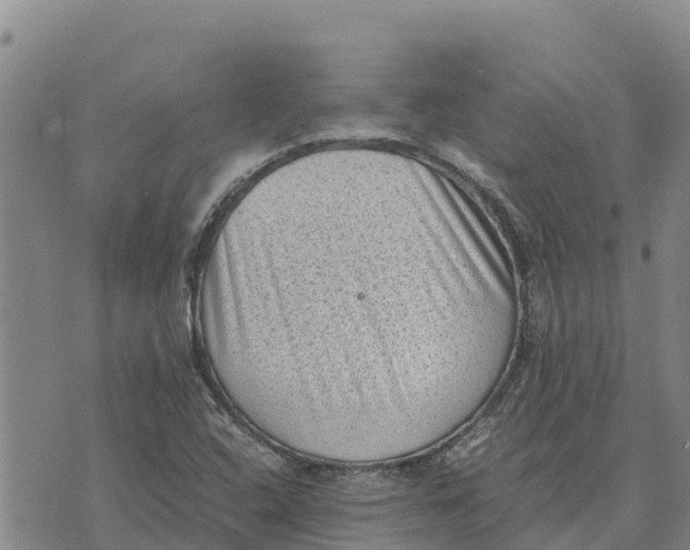 X0000072531408200608041545