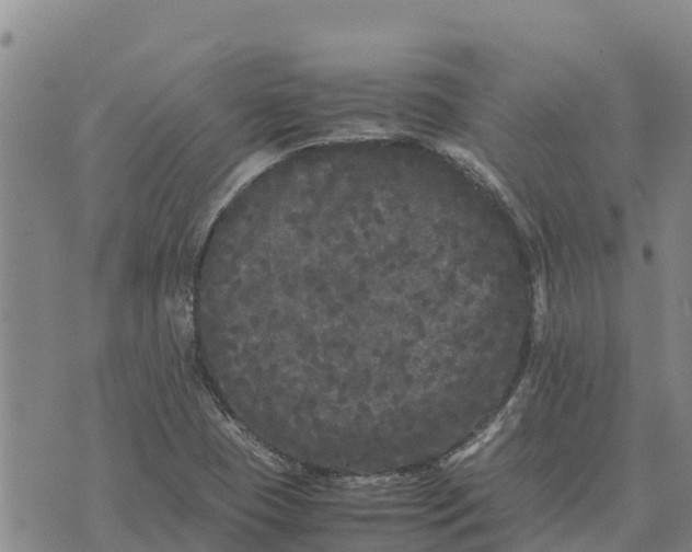 X0000072531409200608041545