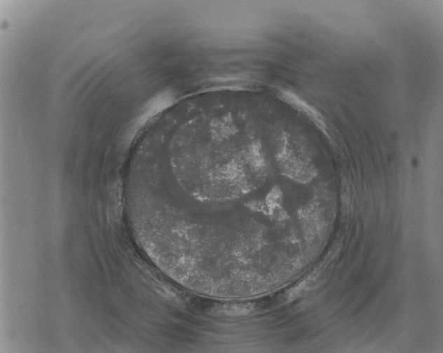 X0000072531411200608041545