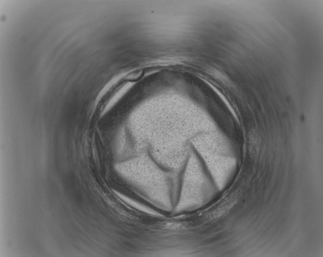 X0000072531412200608041546