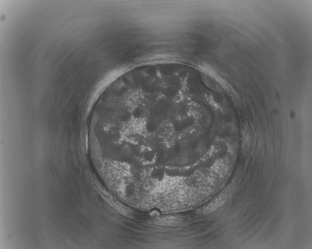 X0000072531413200608041546