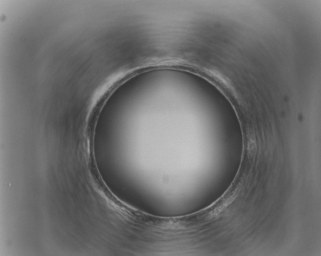 X0000072531414200608041546