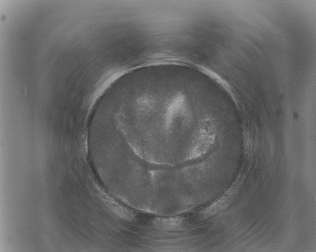 X0000072531415200608041546