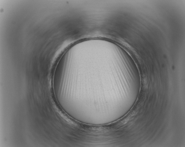 X0000072531416200608041546