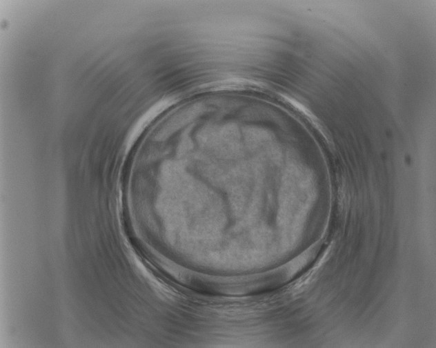 X0000072531418200608041546