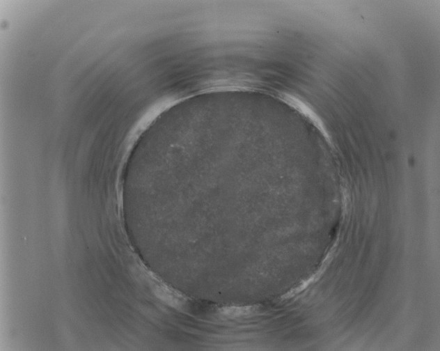 X0000072531419200608041546