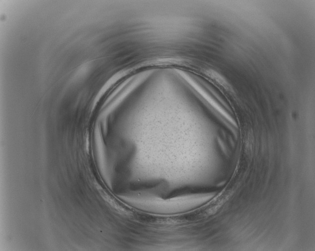 X0000072531420200608041546