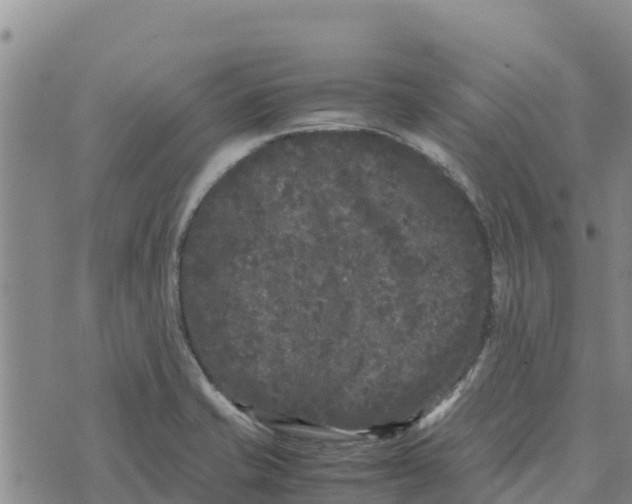 X0000072531421200608041546