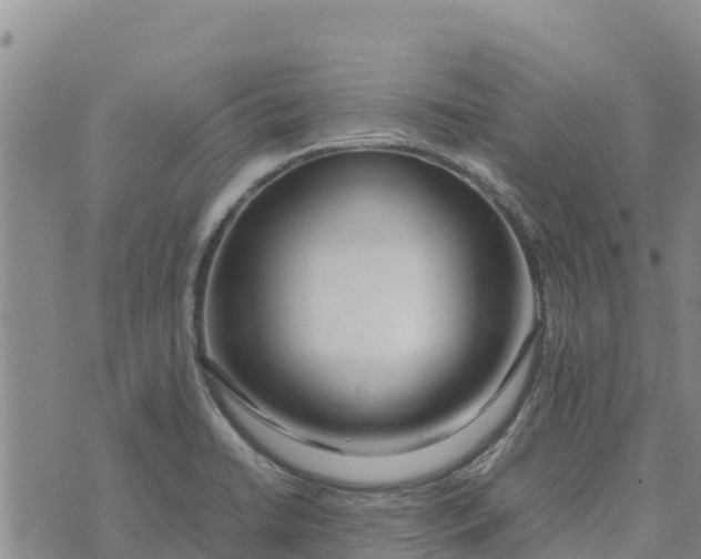 X0000072531422200608041546