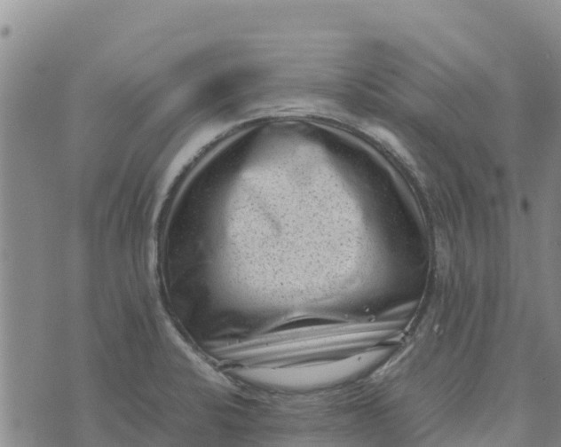 X0000072531424200608041546