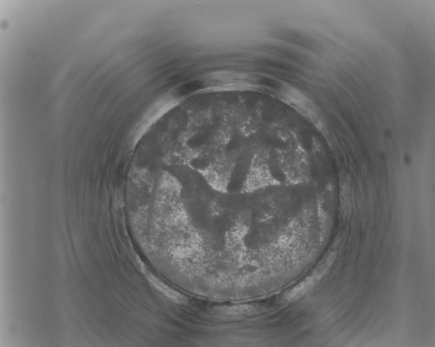 X0000072531425200608041546