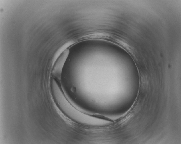 X0000072531426200608041546