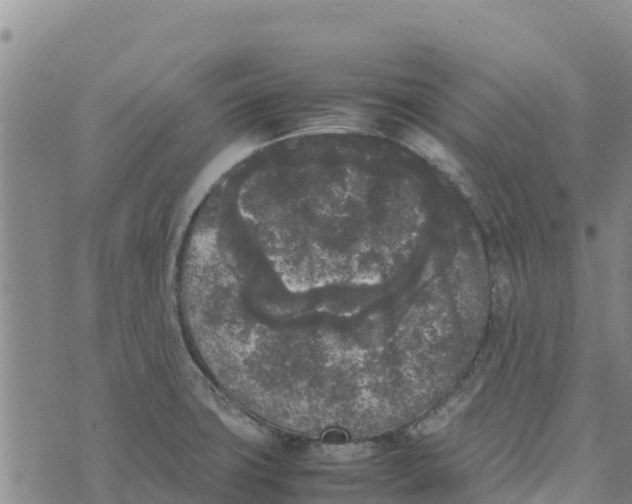 X0000072531427200608041546