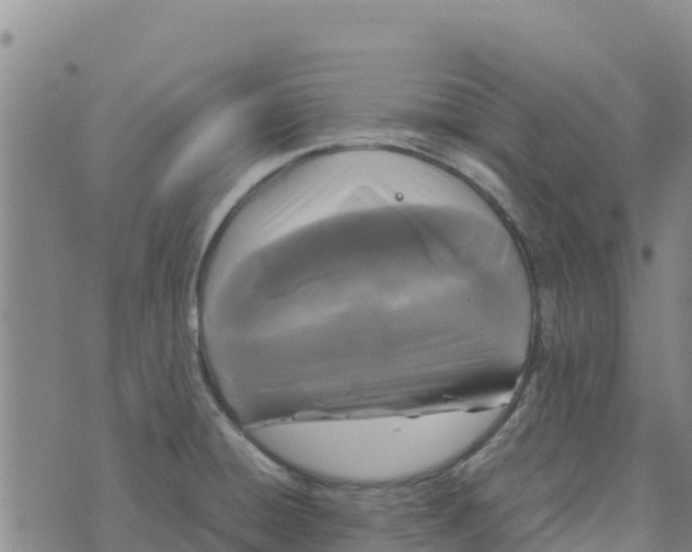 X0000072531428200608041546