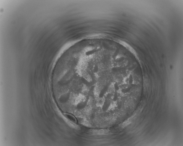 X0000072531429200608041546