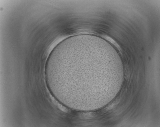 X0000072531431200608041546