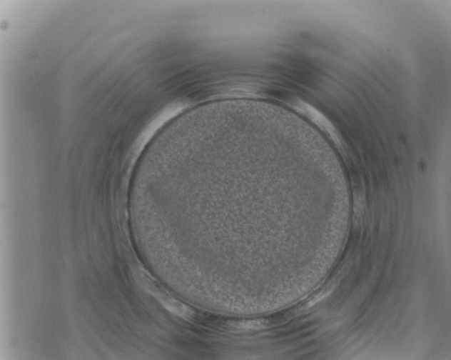 X0000072531435200608041546