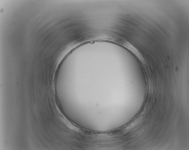 X0000072531436200608041546