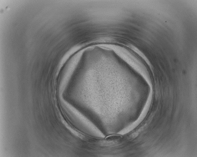 X0000072531437200608041546