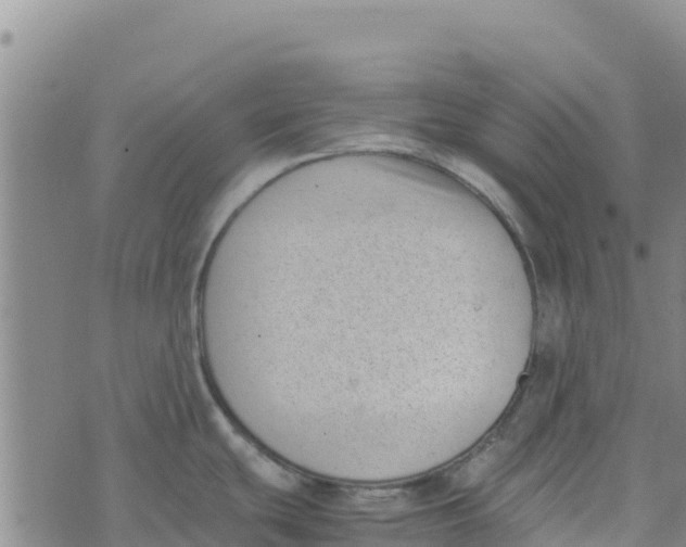 X0000072531439200608041546