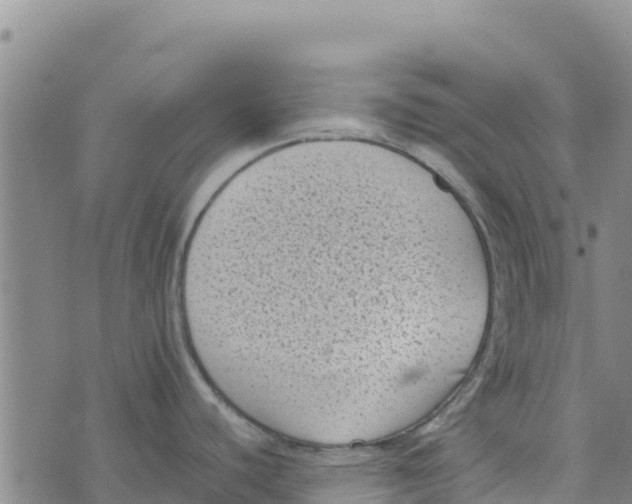 X0000072531440200608041546