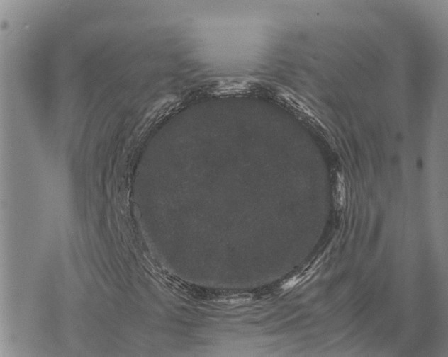 X0000072531441200608041545