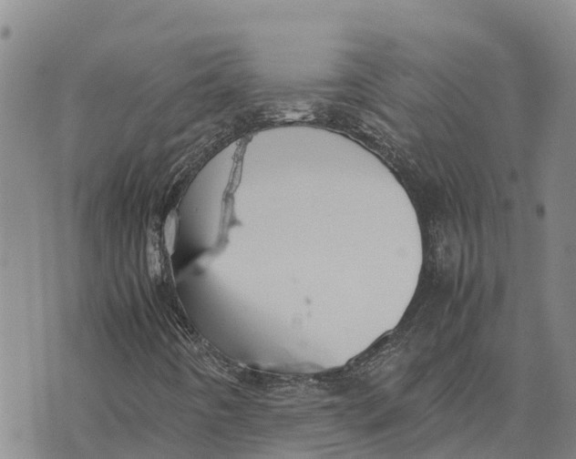 X0000072531442200608041545