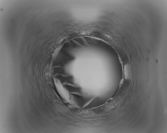 X0000072531443200608041545