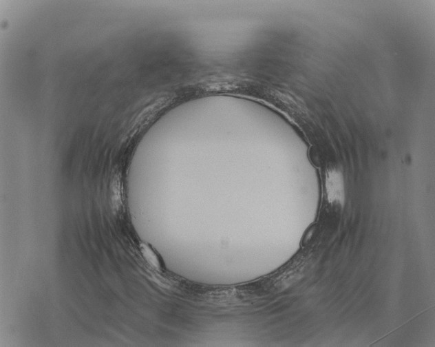 X0000072531444200608041545