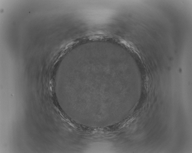 X0000072531445200608041545