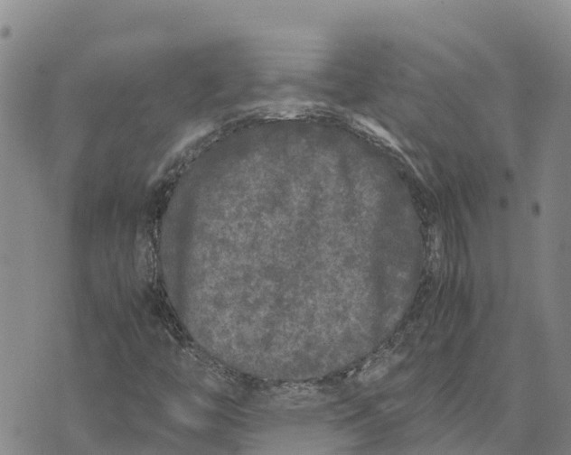 X0000072531446200608041545