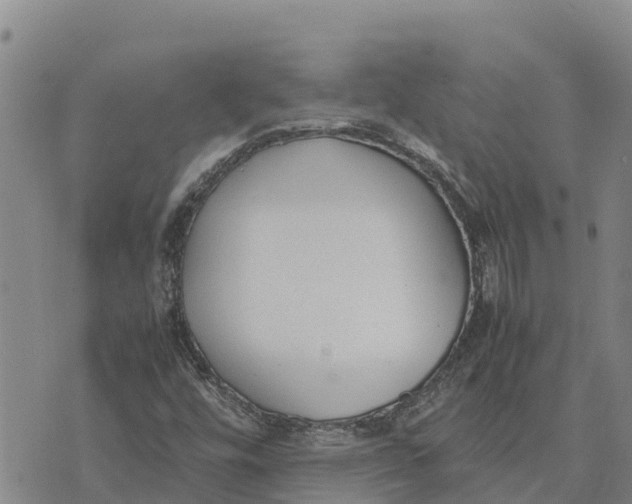 X0000072531448200608041545