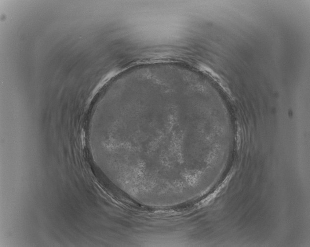 X0000072531449200608041545