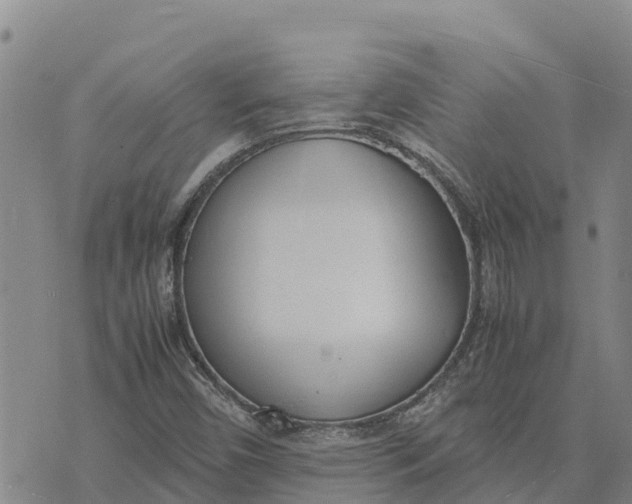 X0000072531450200608041545