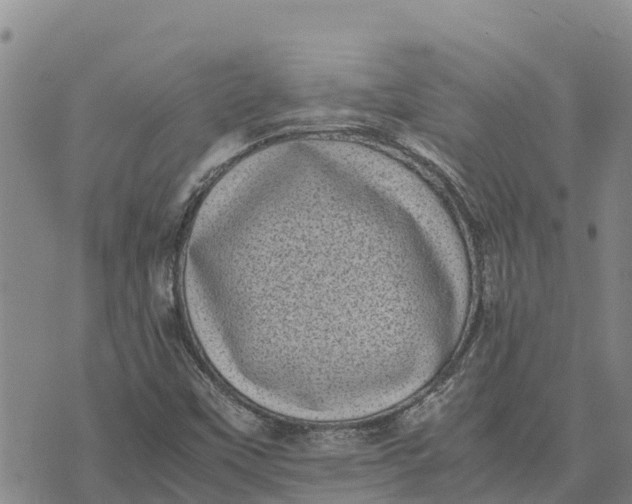 X0000072531451200608041545