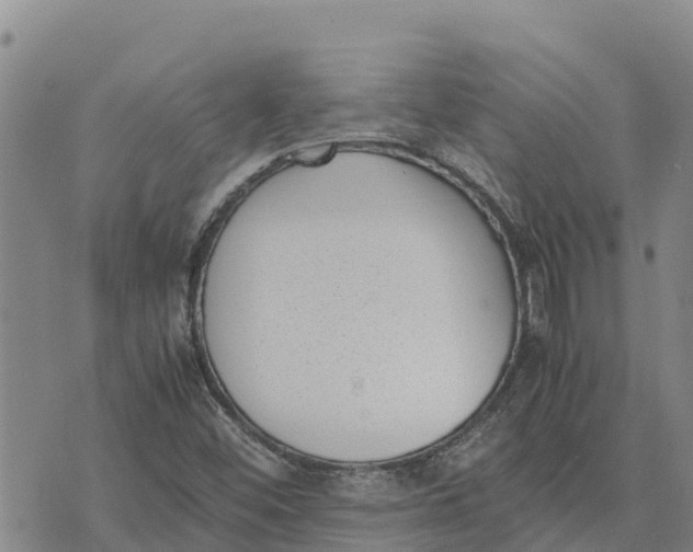 X0000072531452200608041545