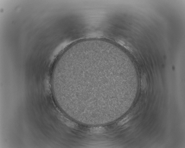 X0000072531454200608041545