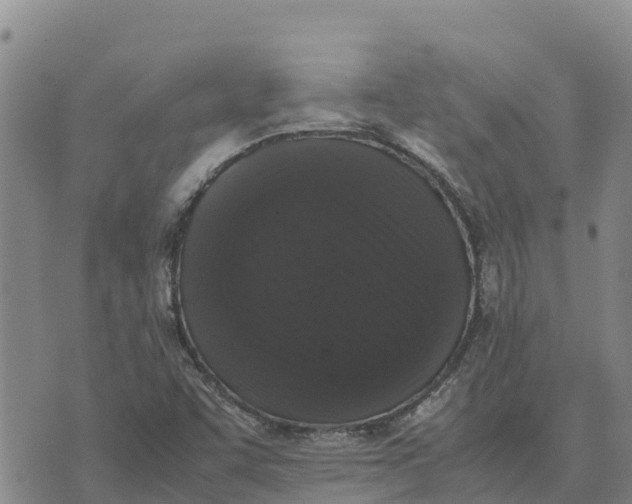 X0000072531455200608041545