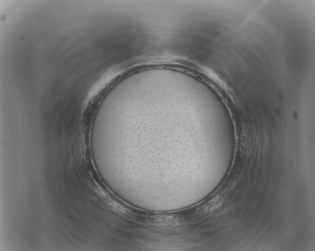 X0000072531456200608041545