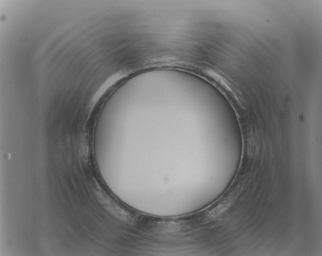 X0000072531458200608041545