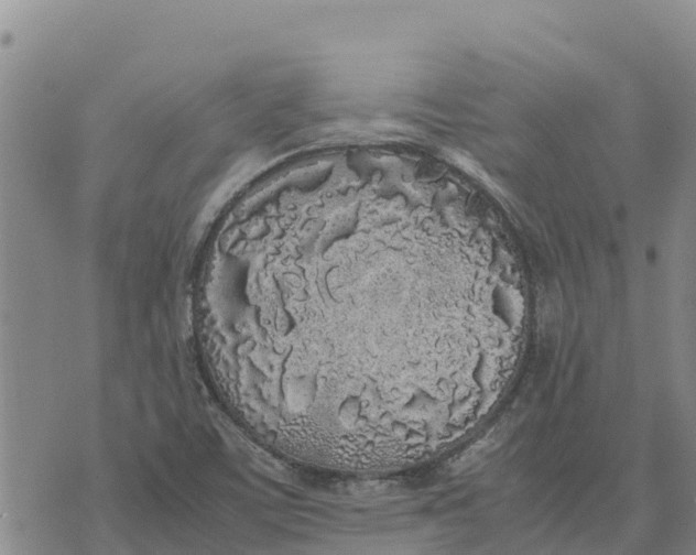 X0000072531459200608041545