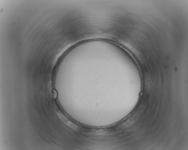 X0000072531460200608041545