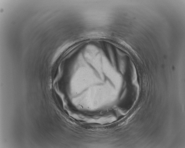 X0000072531461200608041545