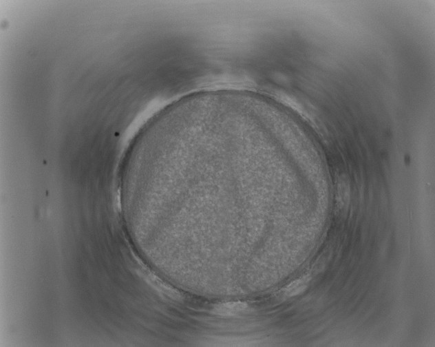 X0000072531462200608041545