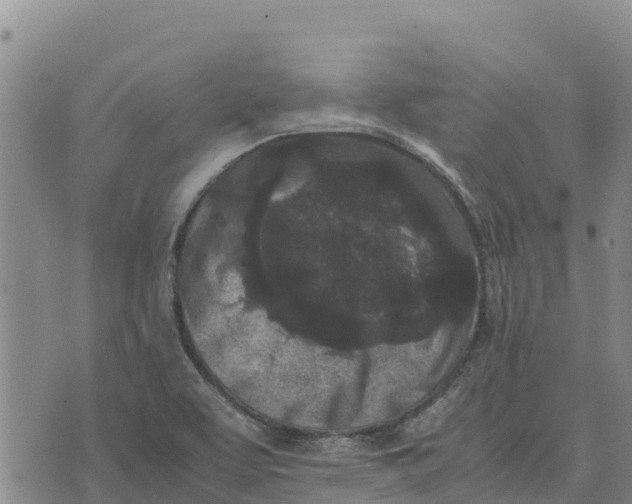 X0000072531463200608041545